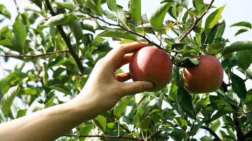 برداشت سریع پول از بت ریوارد
